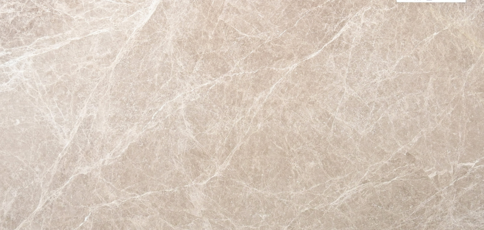 Spider Grey